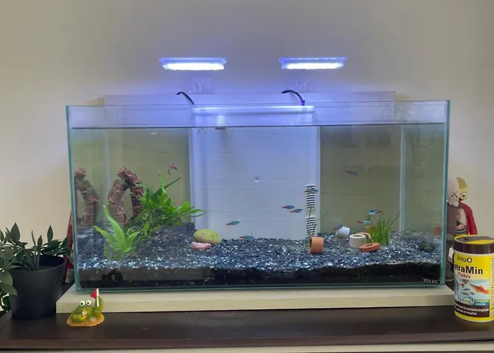 De Luca アパート Saint-André-de-Cubzac